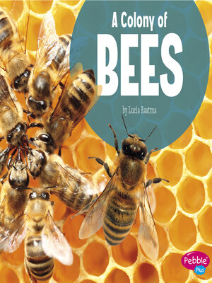 cover image of A Colony of Bees